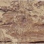 Фасадни плочки African soul (HF23)