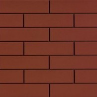 Rot