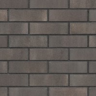 Calm umber (HF68)