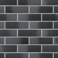Black diamond (33)