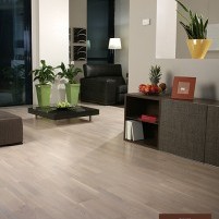 Oak Nordic