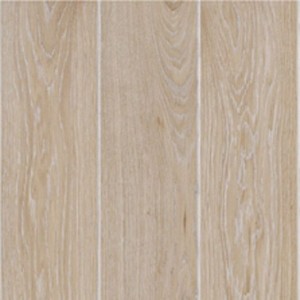 Oak Seashell