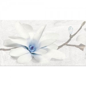 Stone flowers grey inserto SF